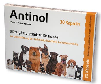 Produktbild von Active Pet Gelenke - Ergänzungsfutter Für Hunde & Katzen Bei Arthrose